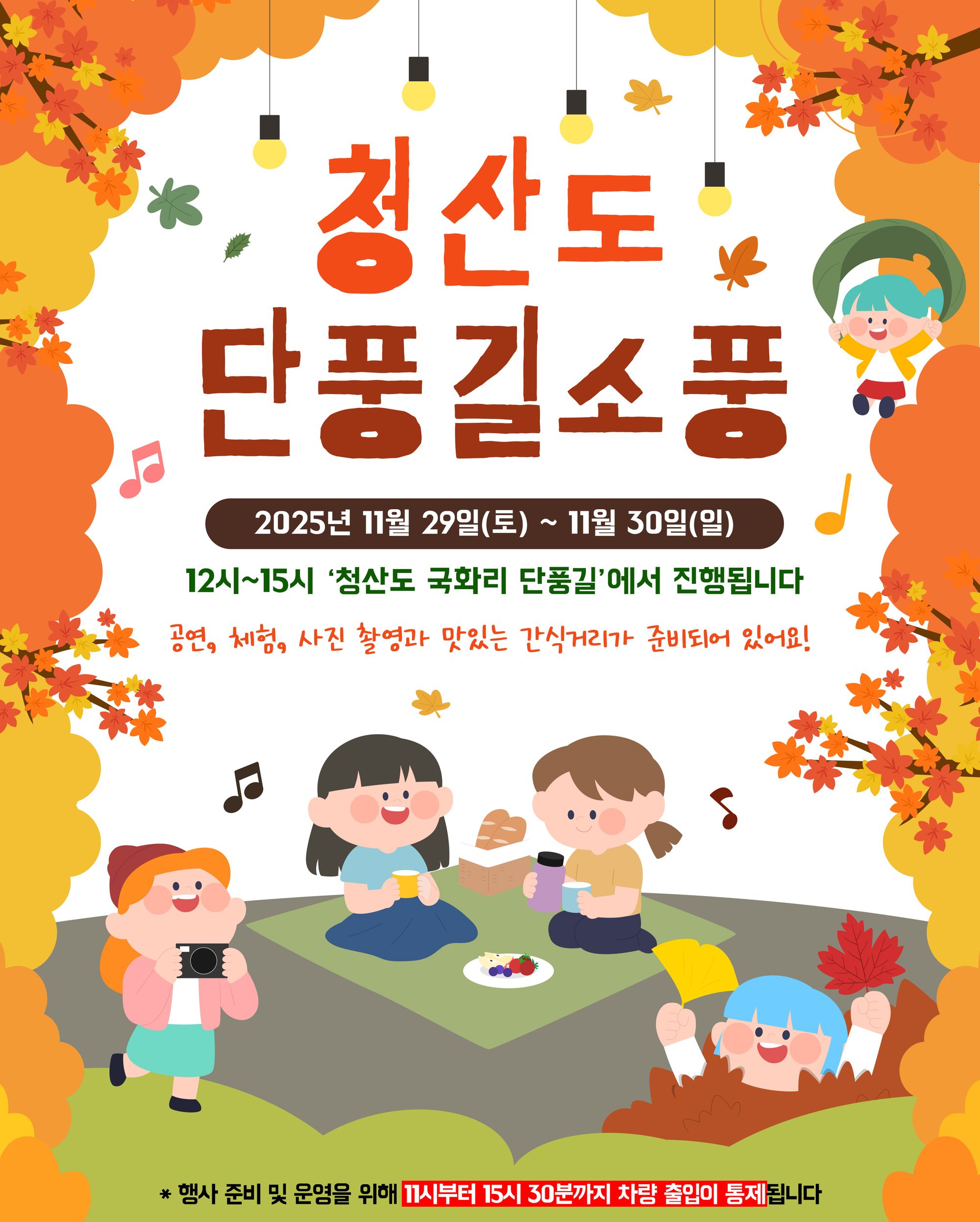 🍁 “가을의 끝, 청산도 단풍길에서 소풍 어때요?”