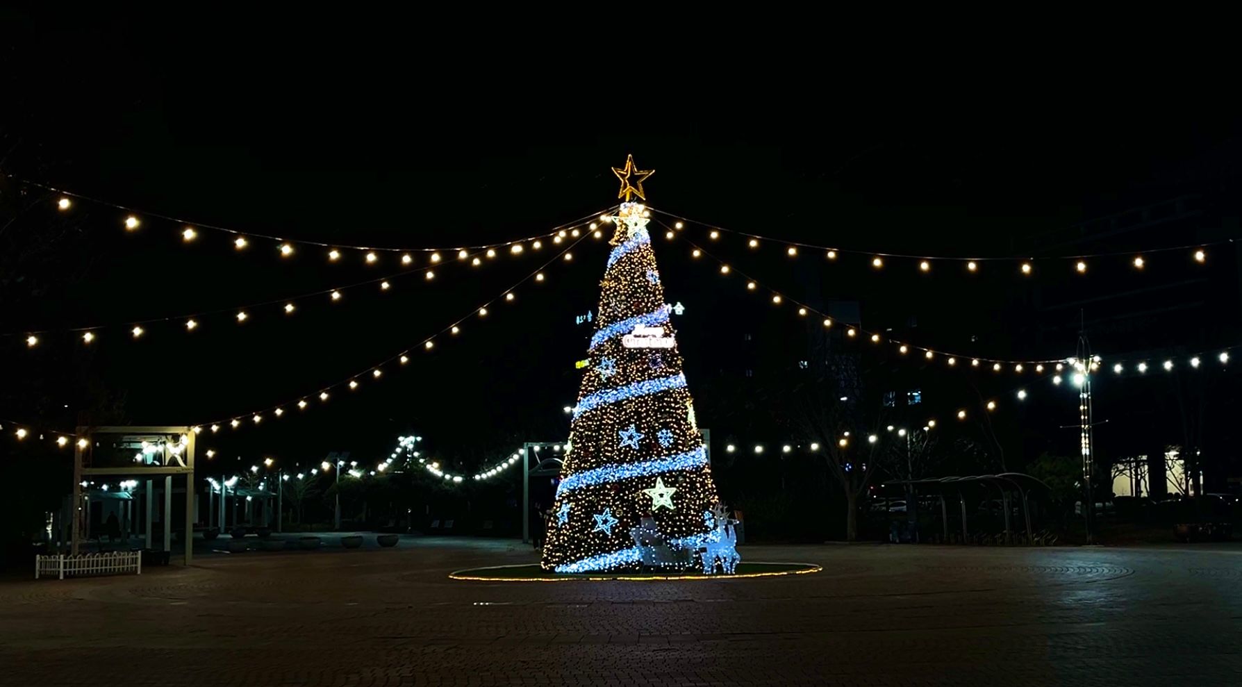 남악 중앙공원에서 만나는 연말 풍경 🎄🎅🏻
