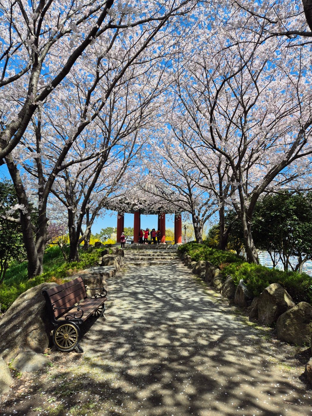 꽃🌻은 떨어졌지만 소식은 풍성한 4월