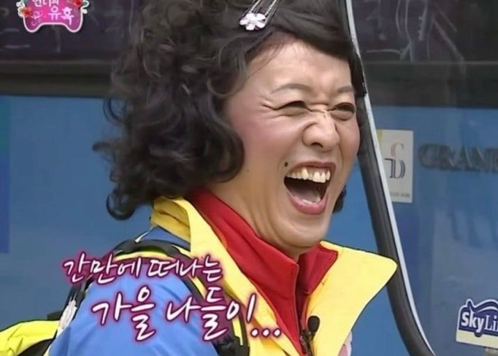🍁 갈대부터 단풍까지! 가을 여행 어디로 떠날까?