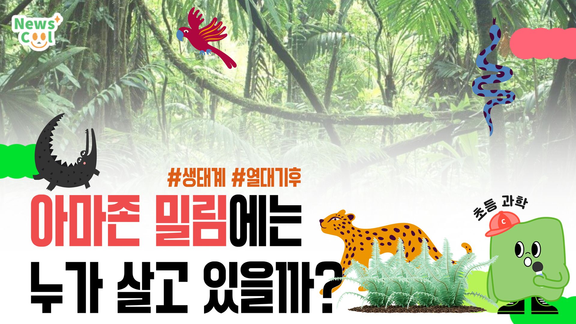 아마존에는 누가 살고 있을까?