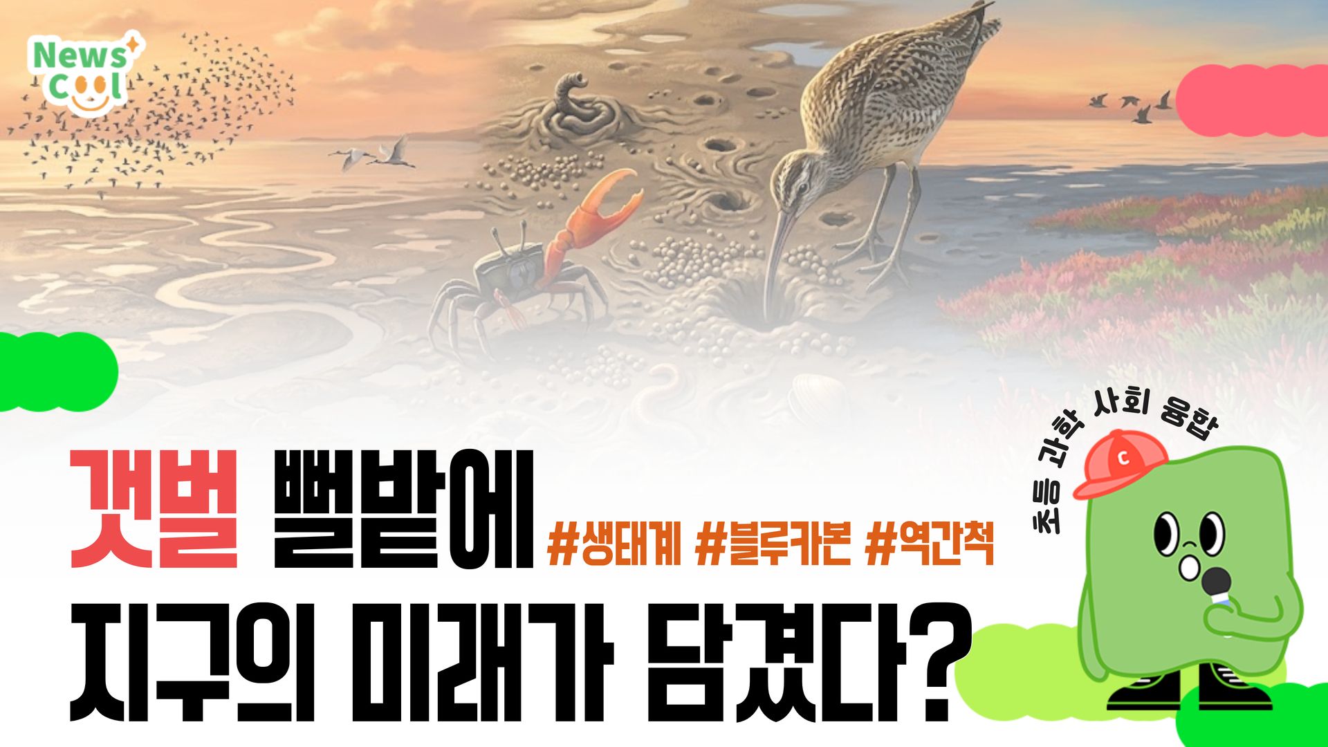 갯벌을 바다의 텃밭이라고 부는 이유?[뉴스쿨TV 학습노트]