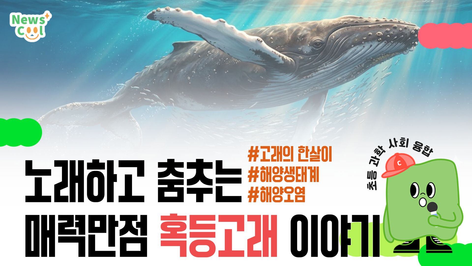 노래하는 고래 '혹등고래'를 아시나요?[뉴스쿨TV 학습노트]