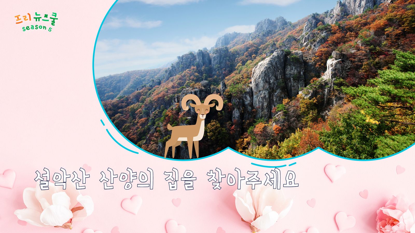 설악산 산양의 집을 찾아주세요 | 프리 뉴스쿨 시즌2