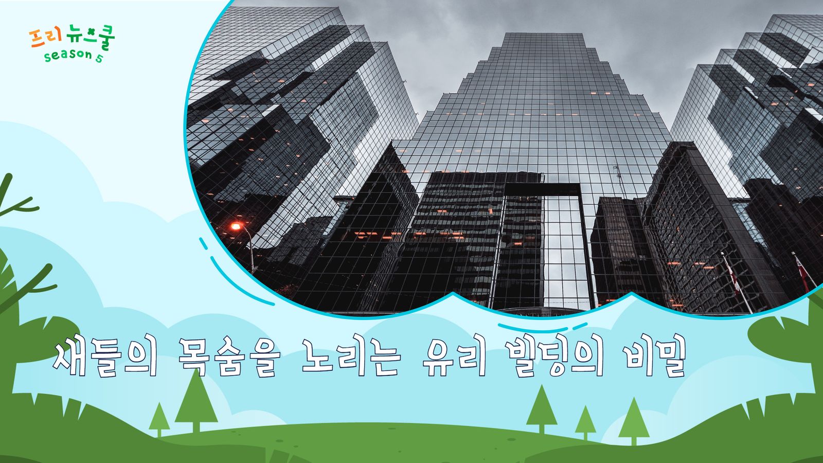 새들의 목숨을 노리는 유리 빌딩의 비밀 | 프리 뉴스쿨 시즌1