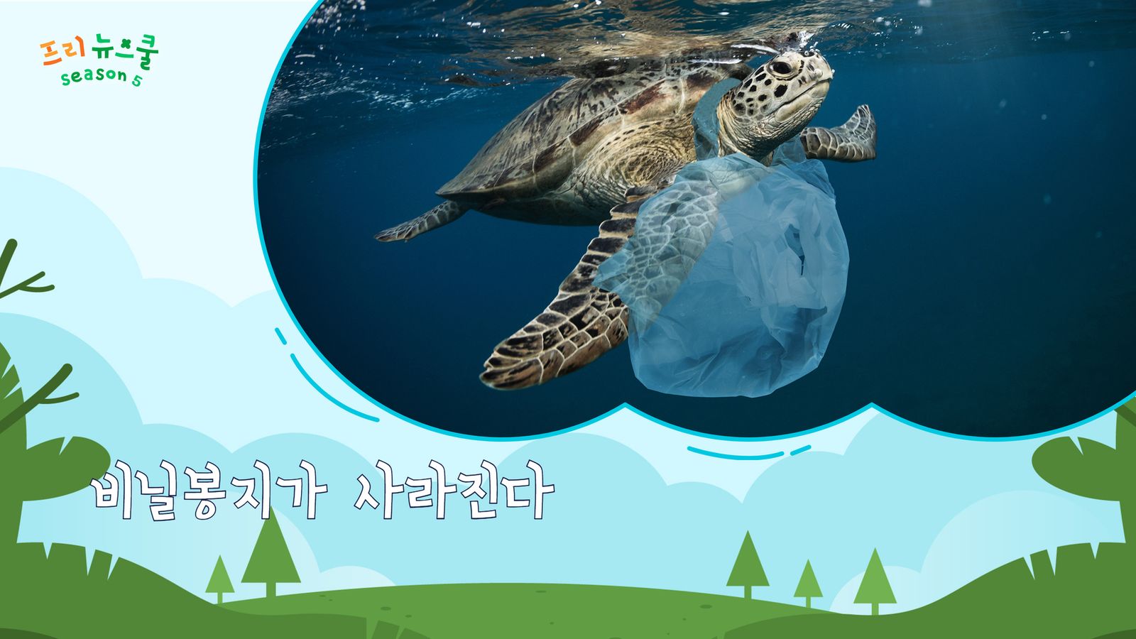 비닐봉지가 사라진다 | 프리 뉴스쿨 시즌1