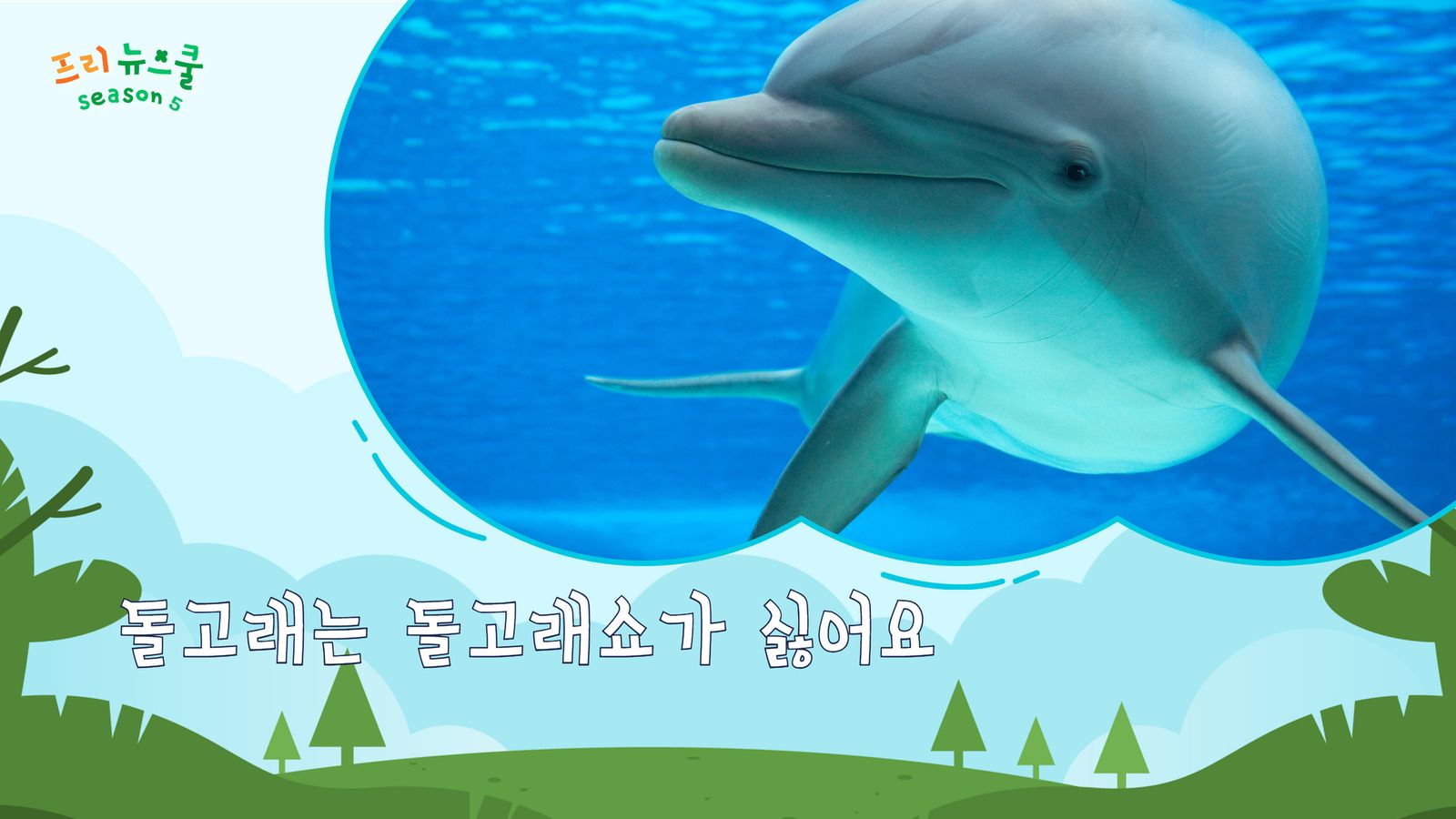 돌고래는 돌고래쇼가 싫어요 | 프리 뉴스쿨 시즌1