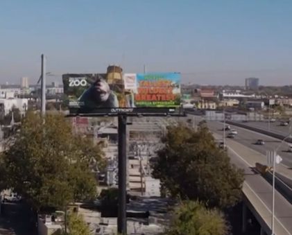 고속도로 위로 뛰쳐나온 고릴라... 미국 샌안토니오 동물원  3D 옥외광고 캠페인