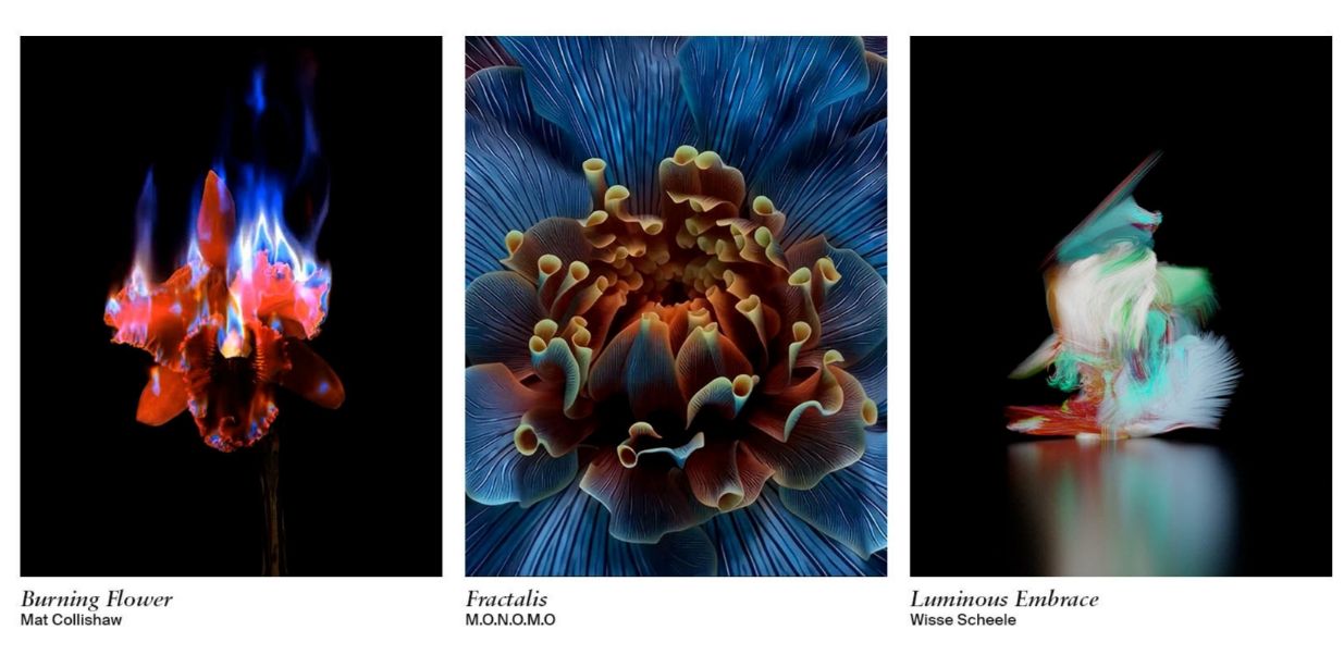 LG Electronics (LG) has partnered with Sedition, the pioneering platform for digital art, to bring inspiring contemporary artworks to LG Gallery+. A premium visual curation service for LG Smart TVs, the LG Gallery+ subscription service offers a vast library of content – including video-format works – for a dynamic and immersive art experience at home, enabling users to express their personal style through their displays.