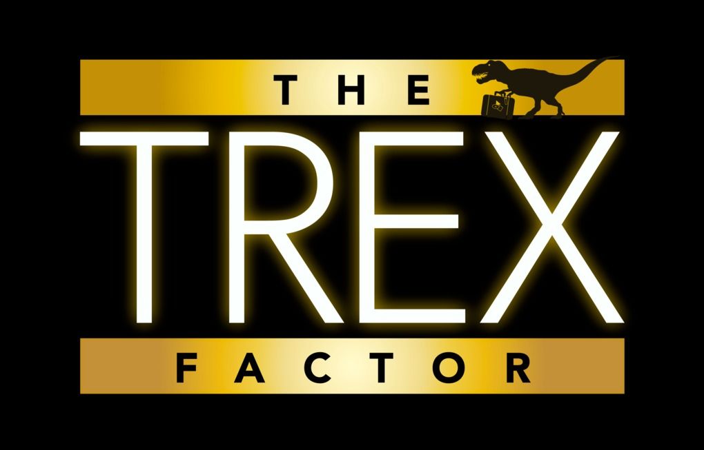 무디 데이빗 리포트, 트레블 리테일 소비자 시장 겨냥한 ‘더 TREX 팩터’ 출시