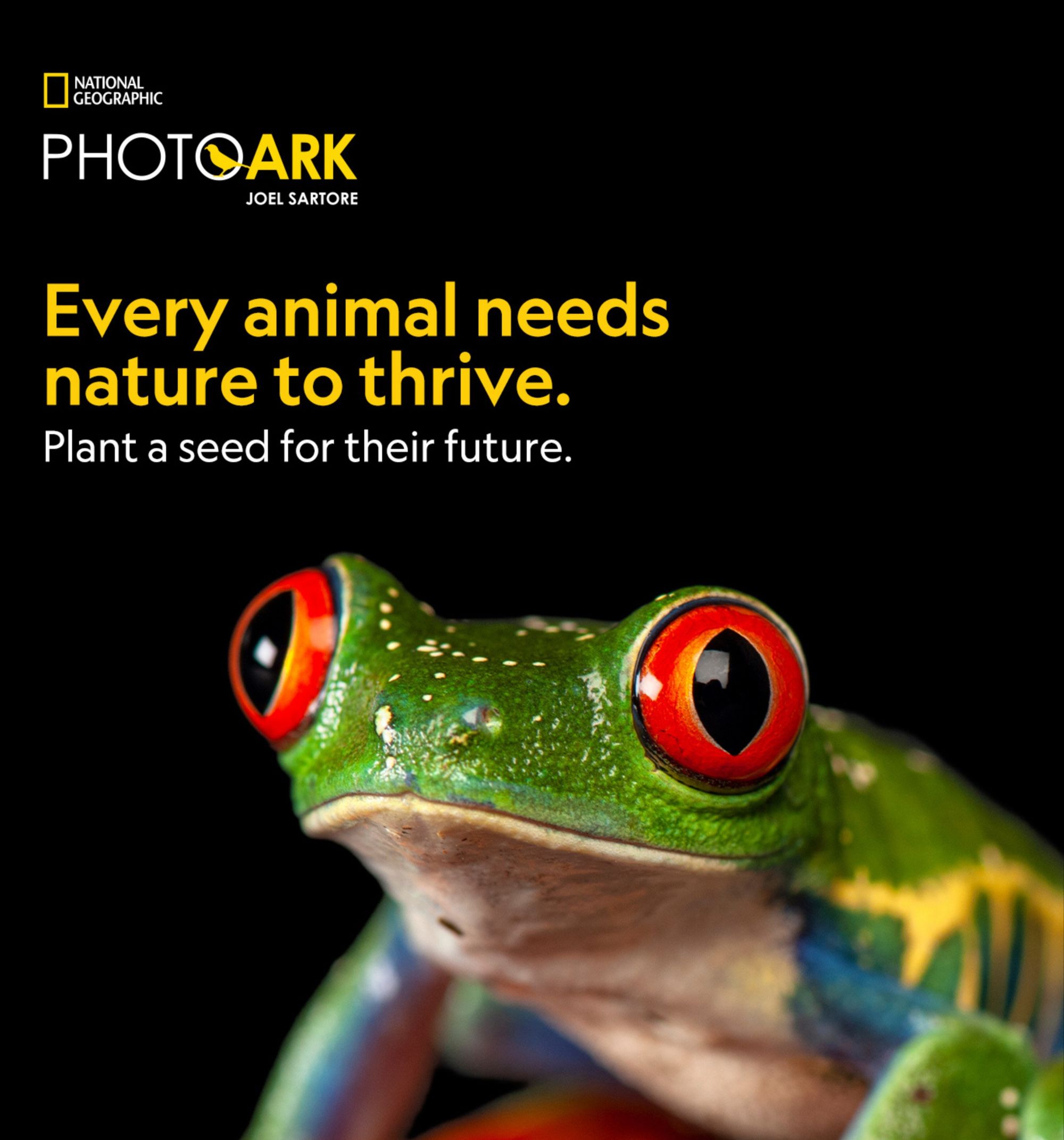 OAAA and National Geographic Photo Ark Launch Nationwide “Pledge to Pollinate” Campaign to Celebrate Photo Ark’s 20th Anniversary