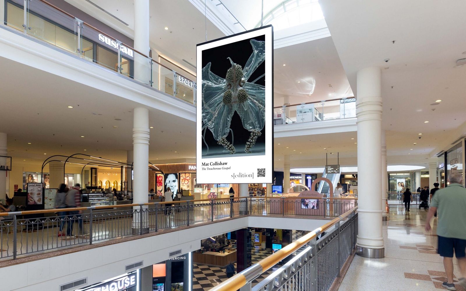 Mat Collishaw to Light Up Australia as Sedition and oOh!media Double Down on Digital Art
