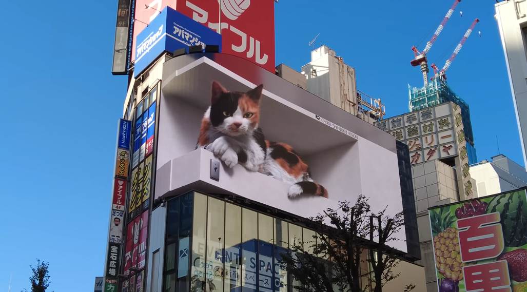 2021년 첫 등장한 신주쿠 3D 고양이, 2026년에도 일본 도심을 지키다