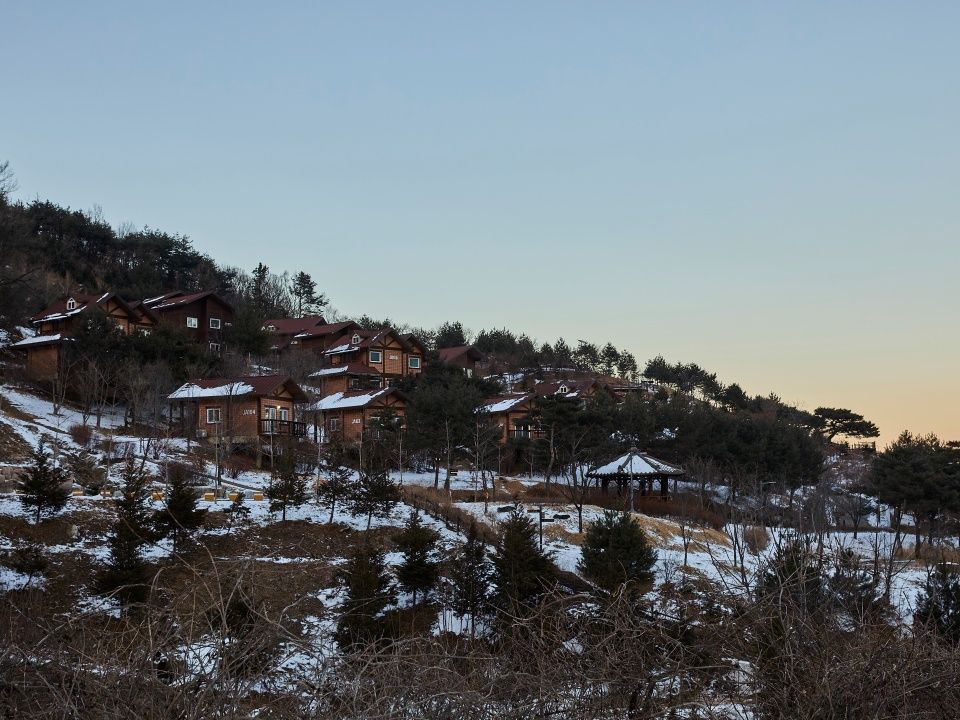 Wellness Trip to Yeongju — A 2-Day, 1-Night Wellness Journey in Gyeongsangbuk-do