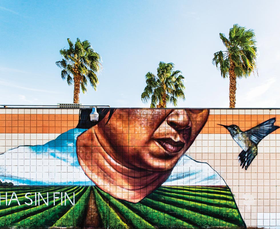 Palm Desert & Coachella