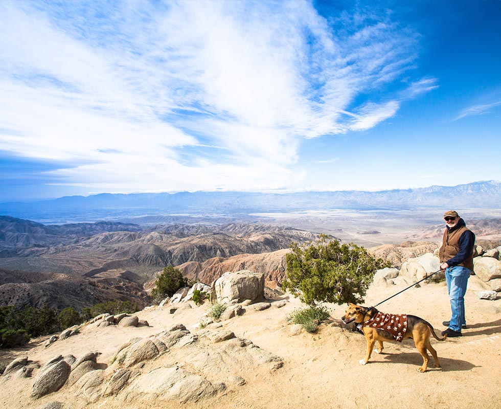 Joshua Tree National Park
