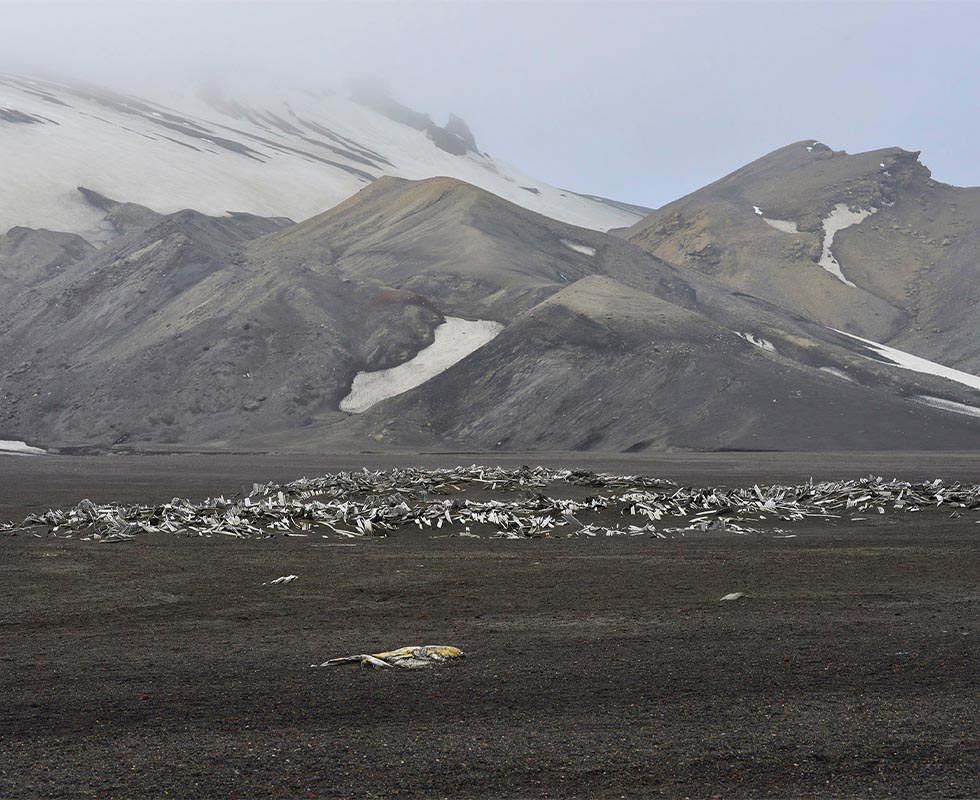 Deception Island, South Shetland Islands