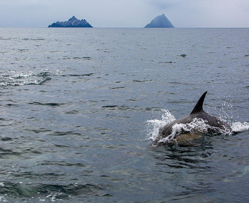 Skellig Michael