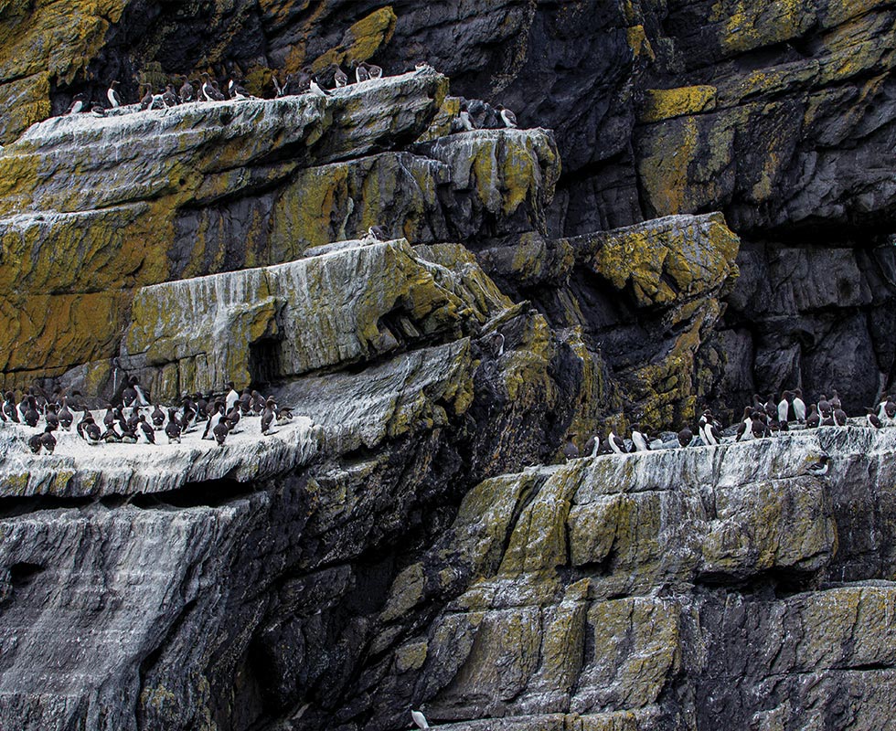 Skellig Michael