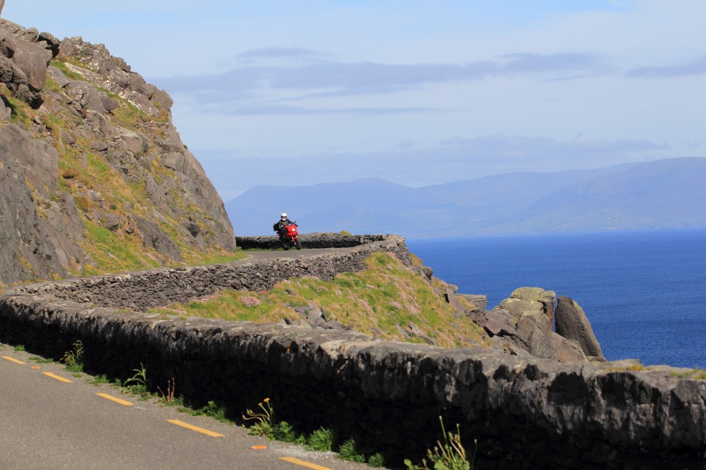 Dingle