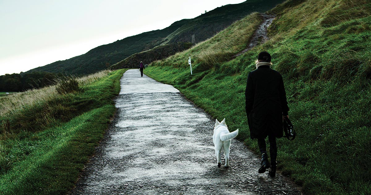 Road to the Essence of Scotch