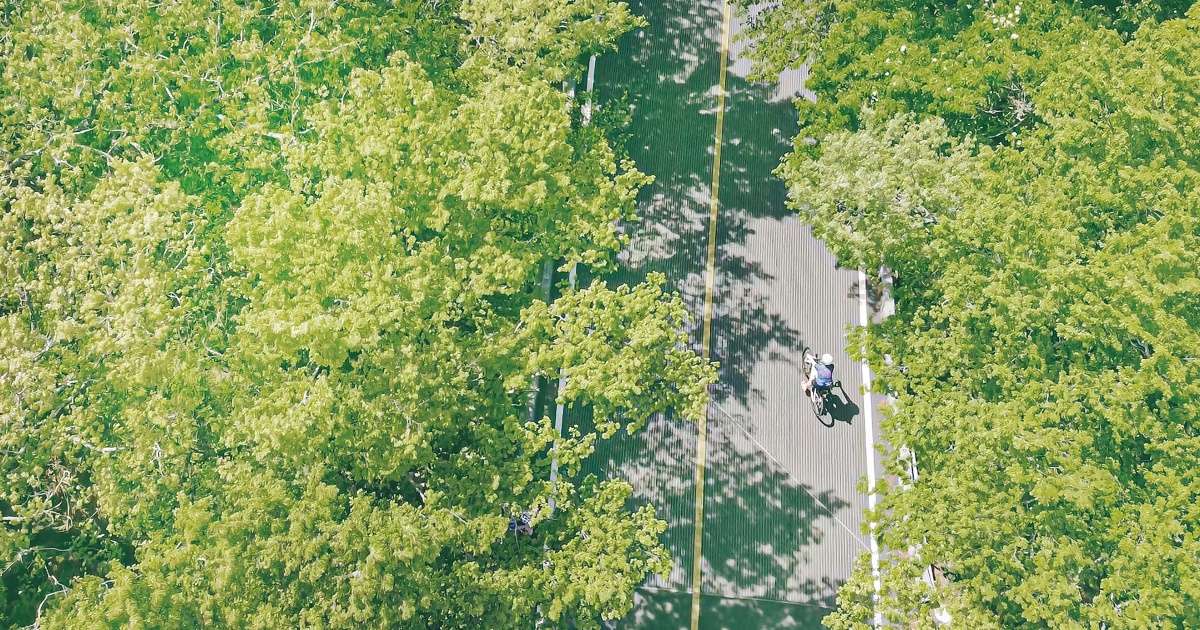 Make Your Daily Life More Like a Trip — Making Every Day Feel Like Travel, and Travel Feel More Like Travel