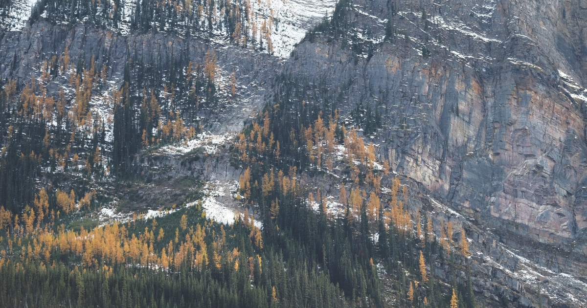 Driving into the Canadian Rockies