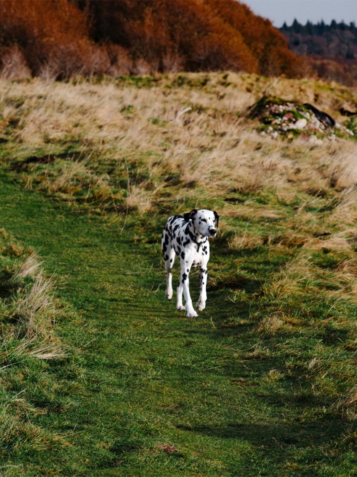 A Taste of the Landscape — Highland, Scotland