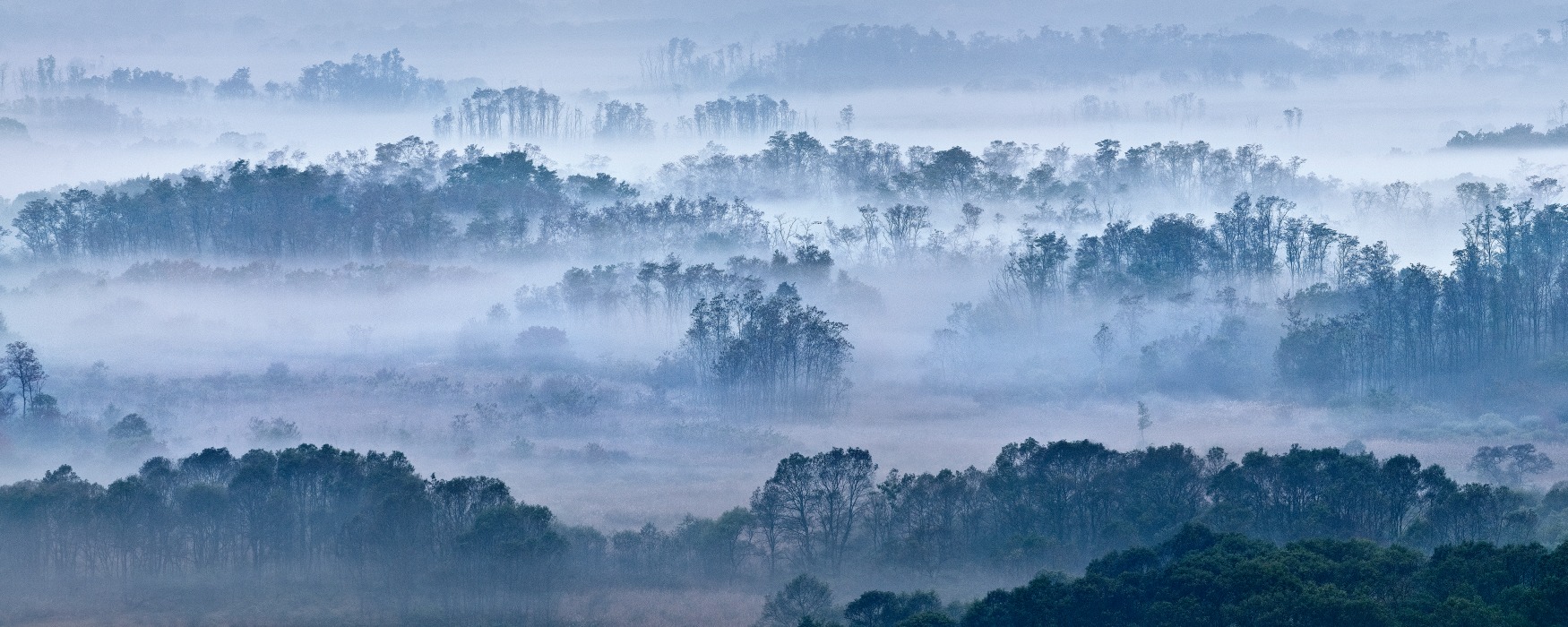 Demilitarized Zone — Recording the Beauty Hidden Within Korea's Divided Land