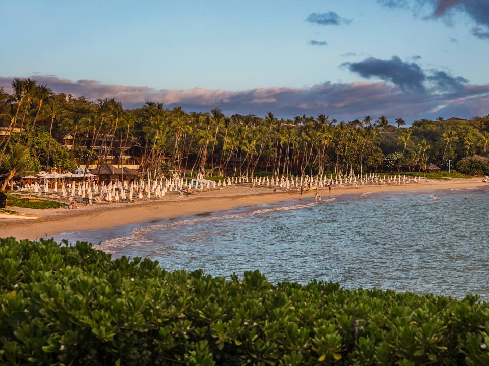 One Week with Mālama Hawai‘i — Hawaii Island