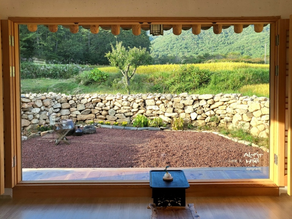 Listening to the Sound of Tea in Gangjin — A Journey of Tea, Moon, and Song in Gangjin