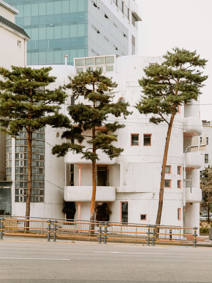신당동 서산부인과였던 건물