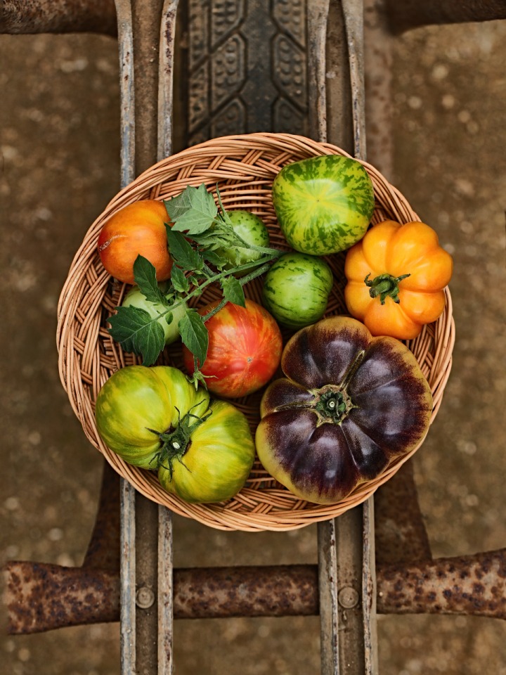 Heirloom tomatoes from Geuraedo Farm