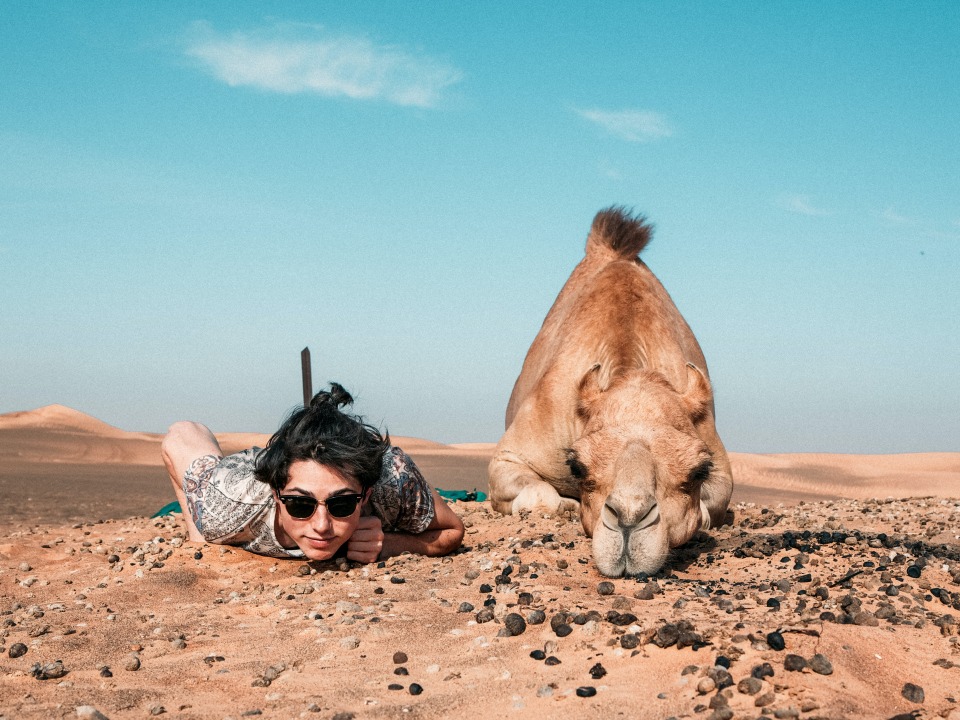 Dictionary for Sustainable Travel — A Glossary of Key Terms