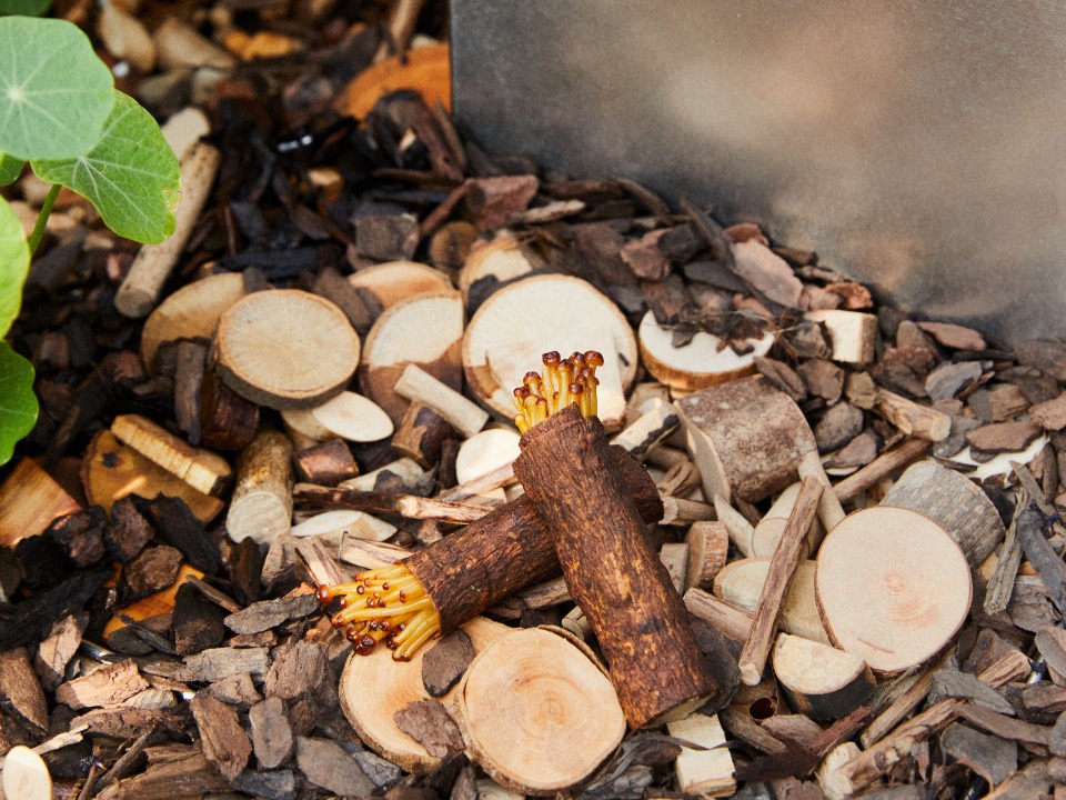 A Taste Adventure — A Journey Through the Senses