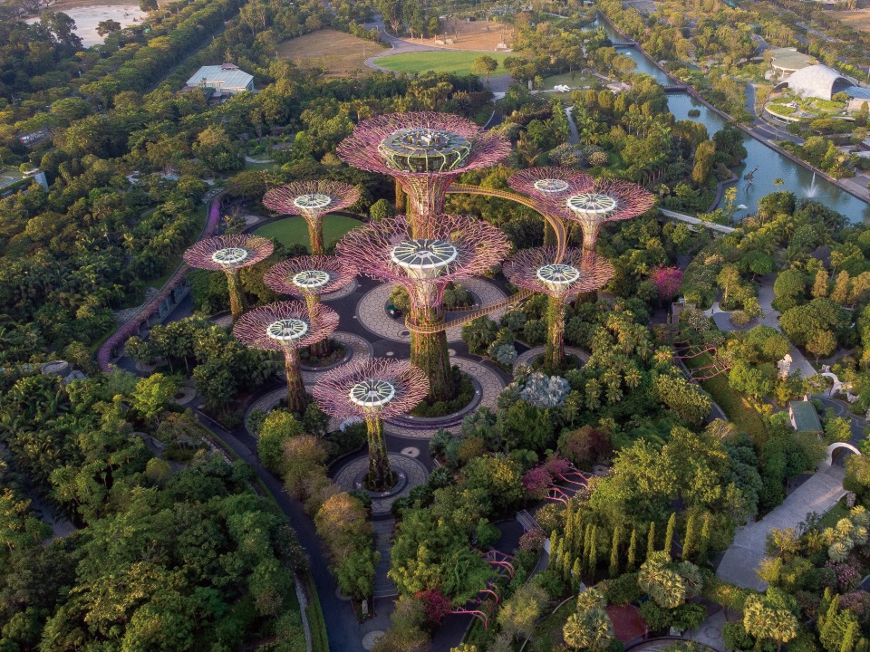 A destination in Singapore where you can experience nature
