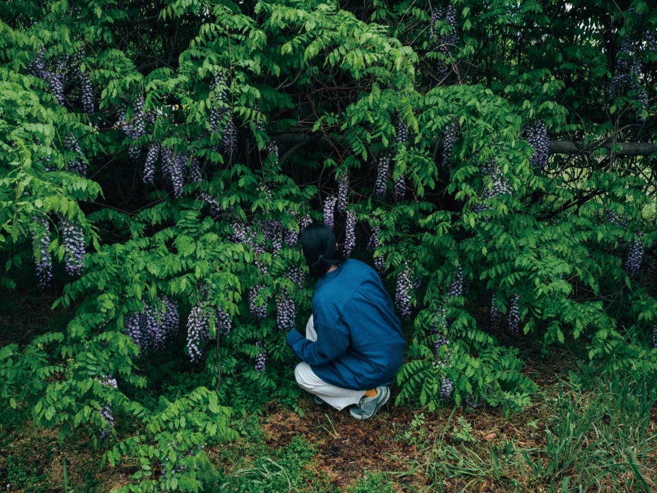 경주의 아름다운 풍경