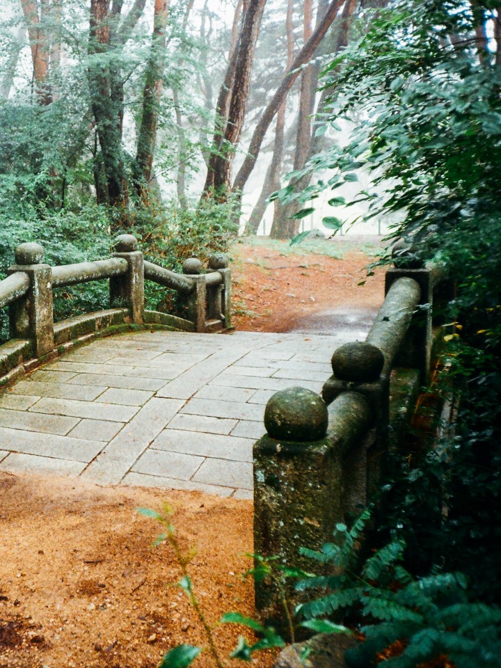 경주 삼릉숲의 전경