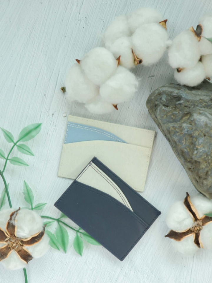 Aegiro card wallet
