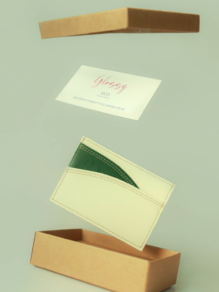 Aegiro card wallet