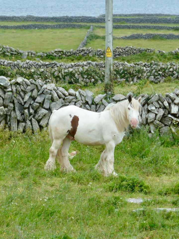 Inishmore, an island in Ireland where you can try living