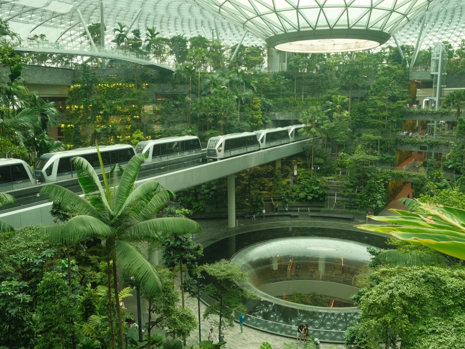 Made in Singapore — Discovering What Only Singapore Offers