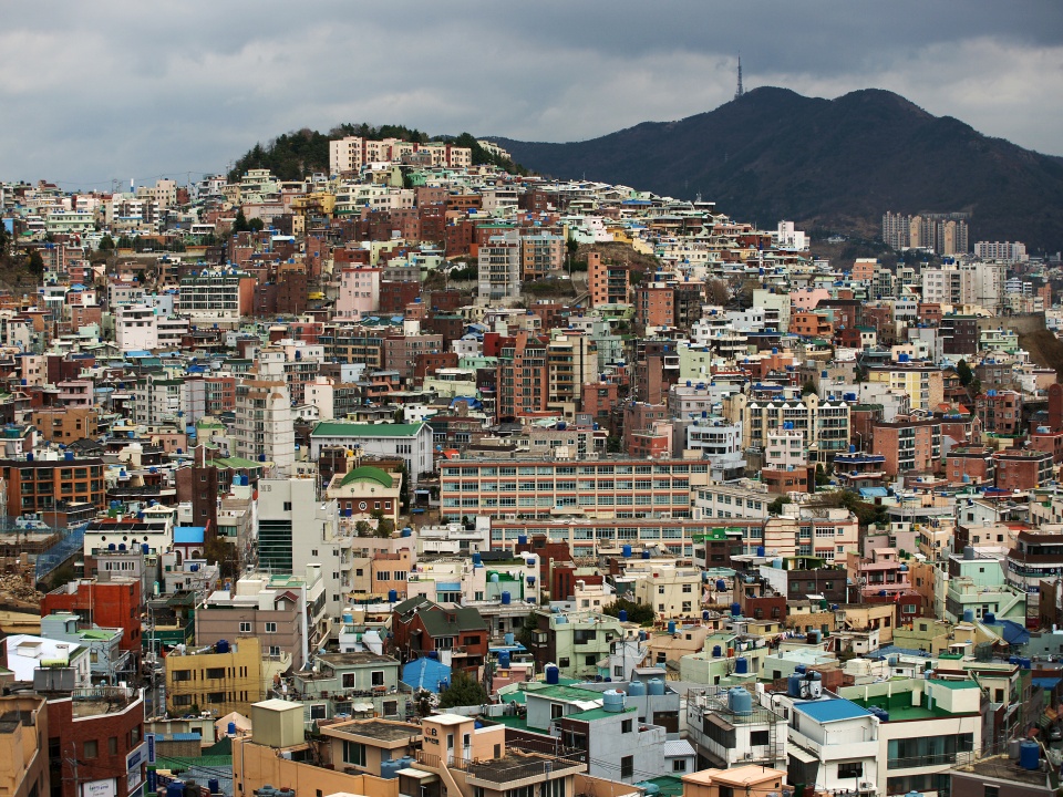 춘분에 부산의 산복도로의 사진이다.