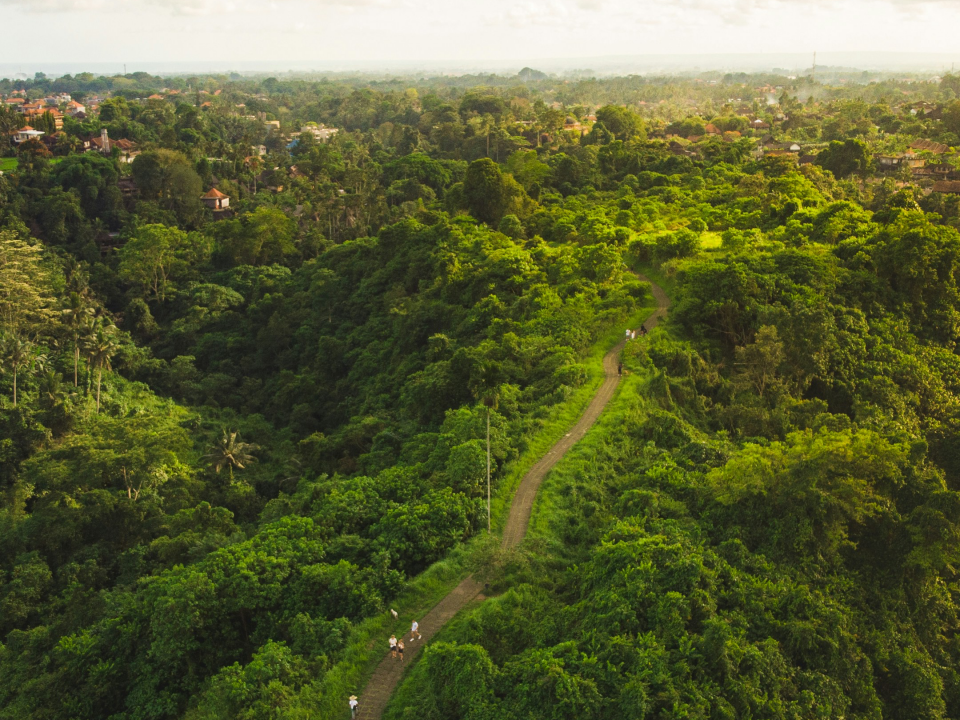 Trekking along the Campuhan Ridge Walk in Ubud.