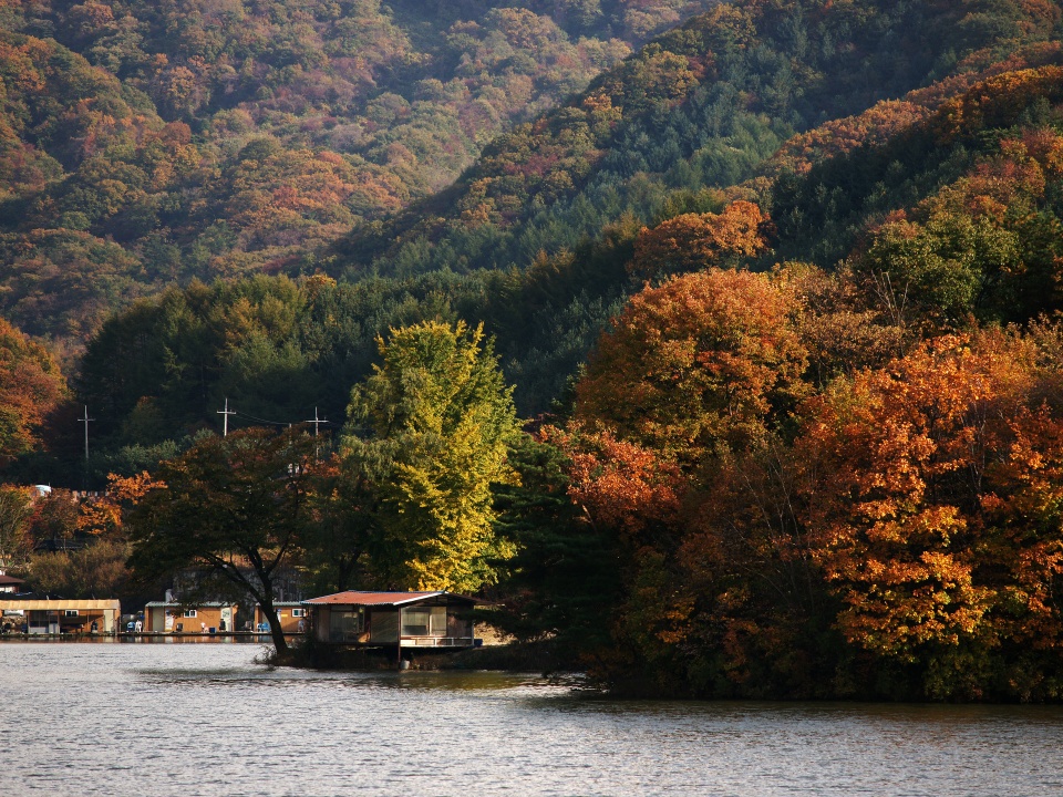Anglers hoping for a big catch as dew settles and cold air lingers over the water at Gisan Reservoir in Yangju, Gyeonggi-do.