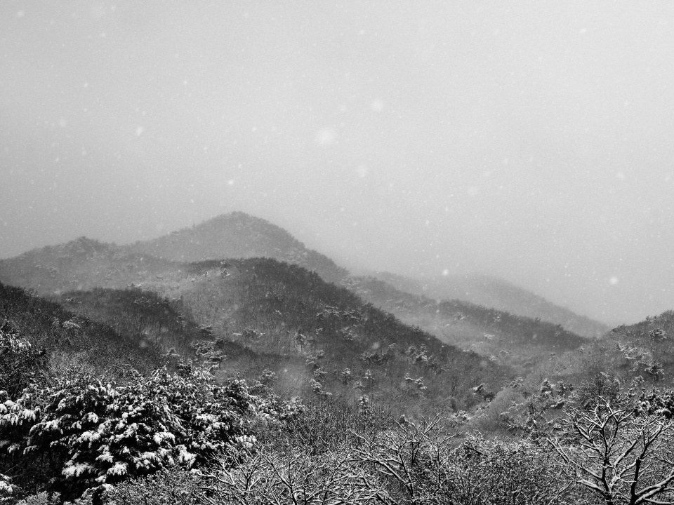 Seasonal Days, a Journey Through Korea's 24 Solar Terms, Part 2 — From Ipchu to Daehan
