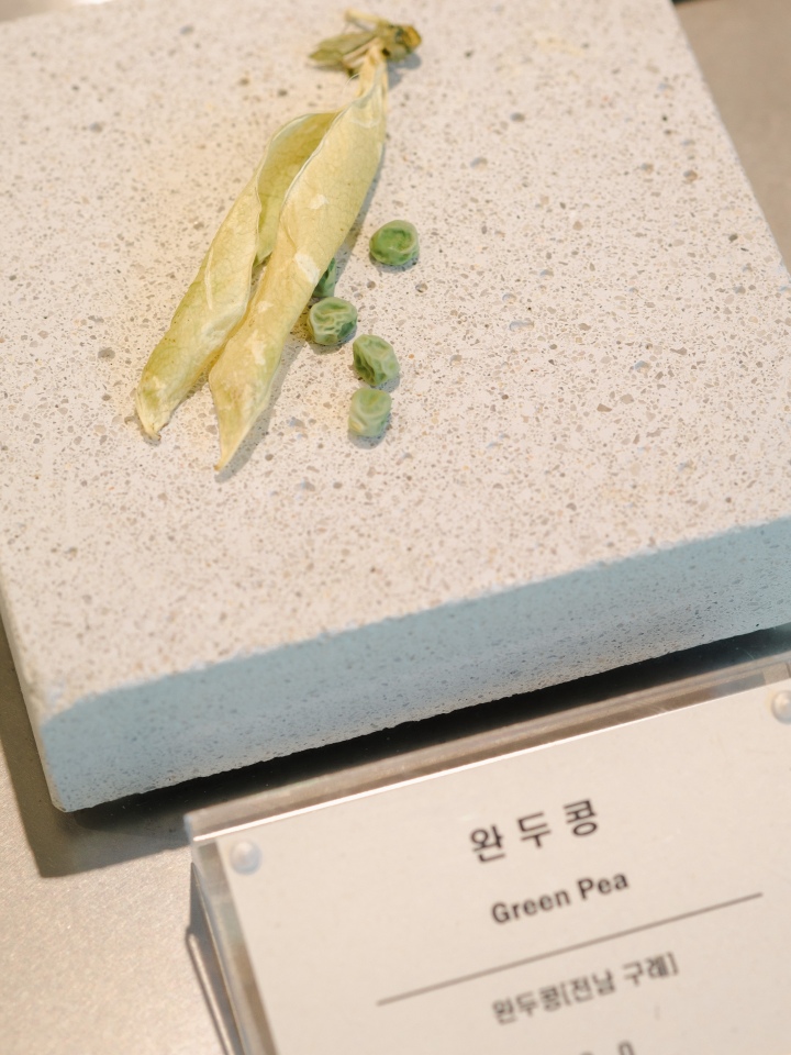 제철 과일과 채소를 써 젤라또를 만드는 피에트라