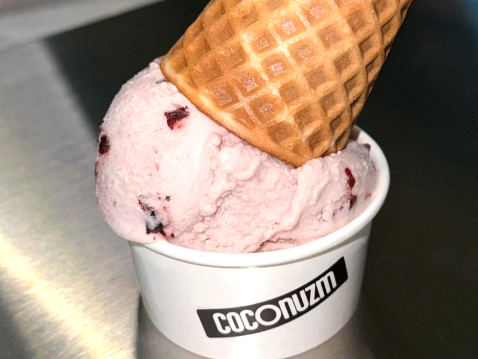 Into the Vegan Ice Cream World — The Secret to Milk-Free Ice Cream, Coconism