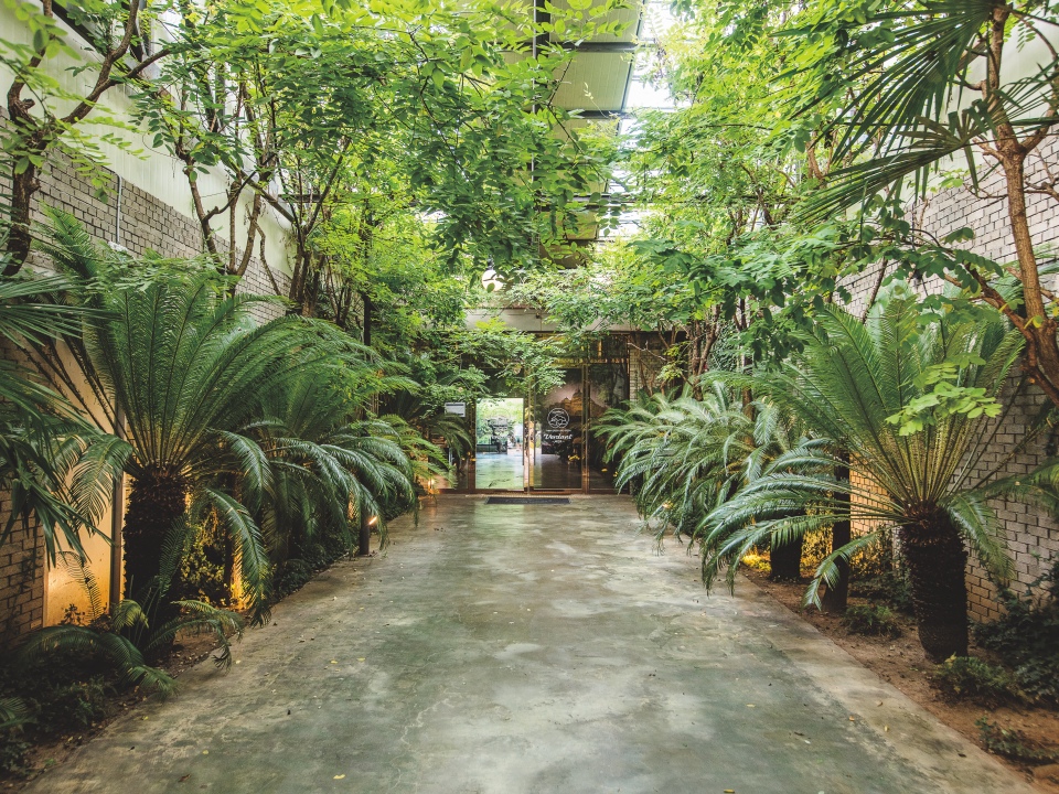 Verdant, a café in Cheongdo that is the second location of Geuchorok