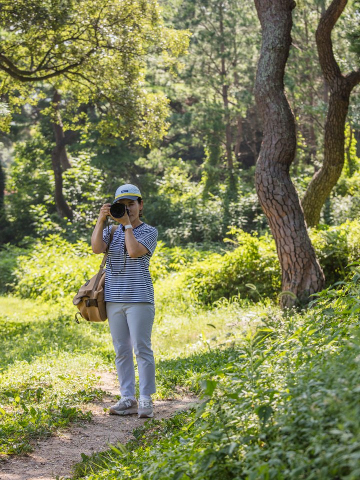 Cheongdo travel influencer Cheonggeum